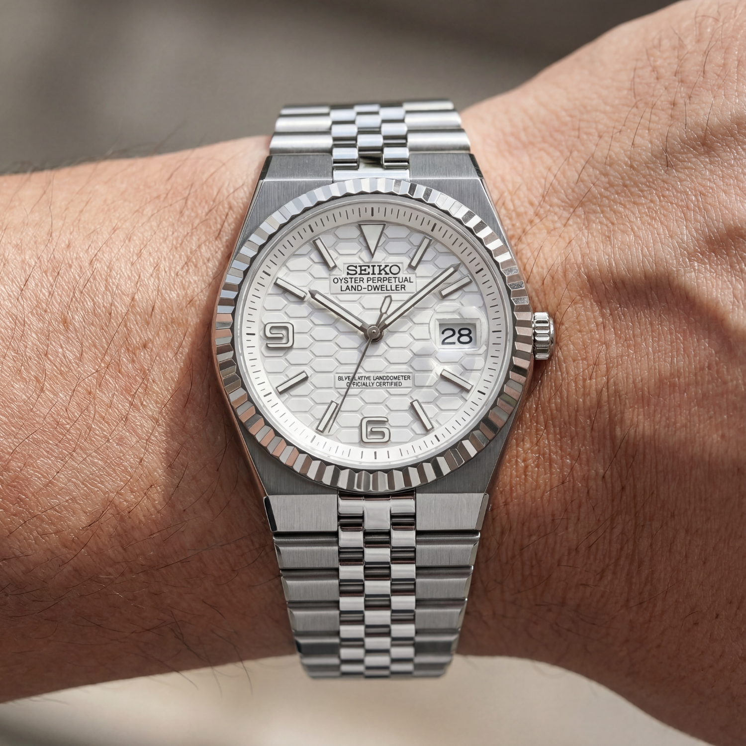 SeikoLand - Dweller - Winter White